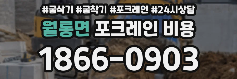 월롱면 포크레인 비용