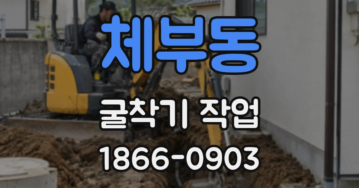 체부동 굴착기 작업