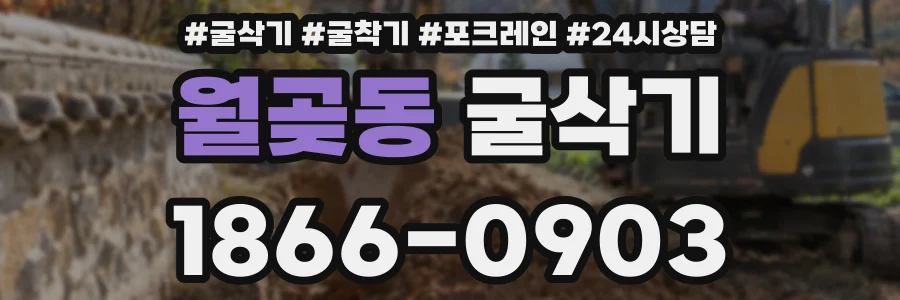 월곶동 굴삭기