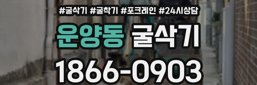 운양동 굴삭기