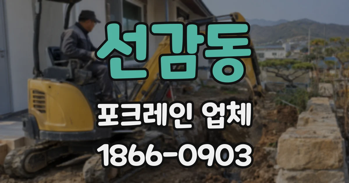 선감동 포크레인 업체