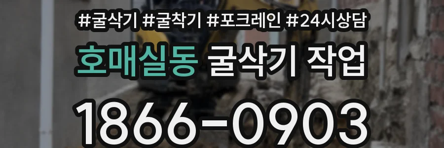 호매실동 굴삭기 작업