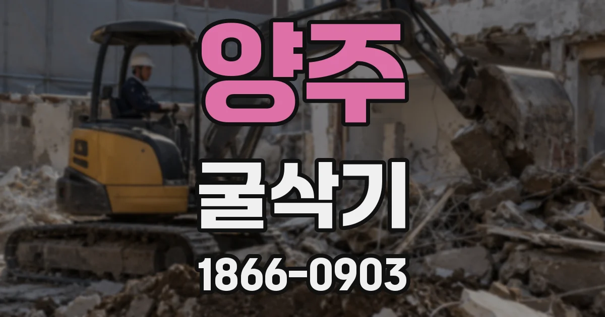 양주 굴삭기