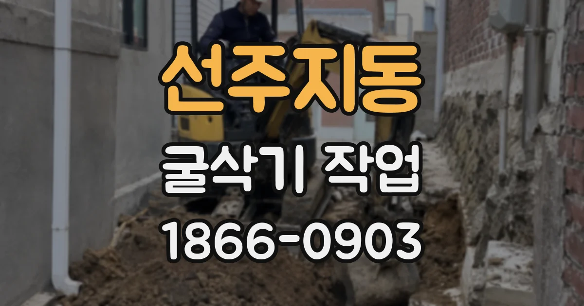 선주지동 굴삭기 작업