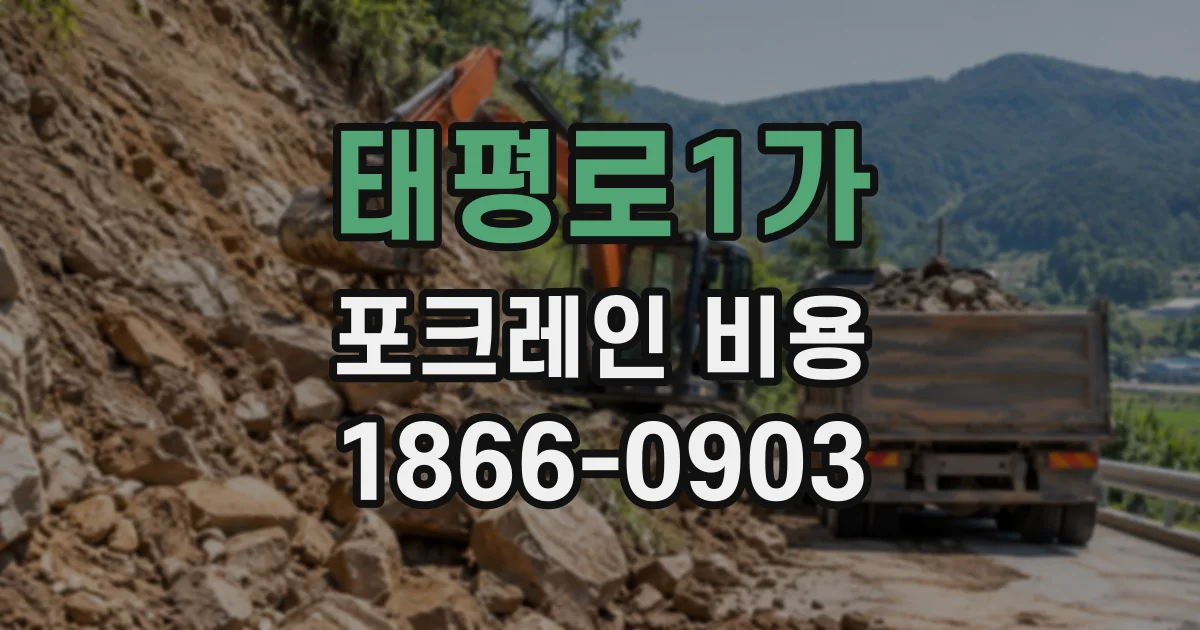 태평로1가 포크레인비용