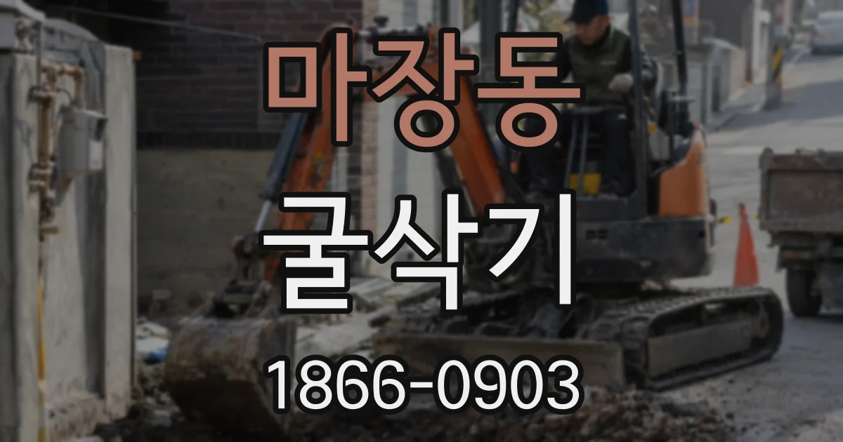 마장동 굴삭기