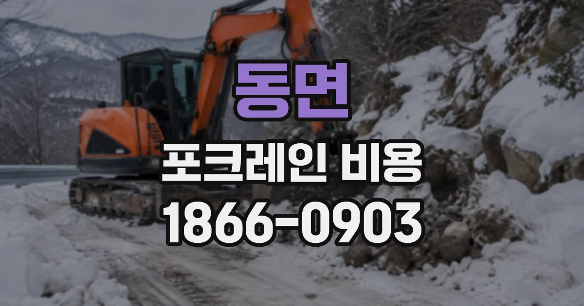동면 포크레인비용