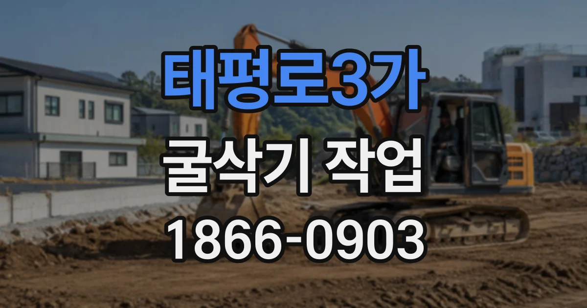태평로3가 굴삭기작업