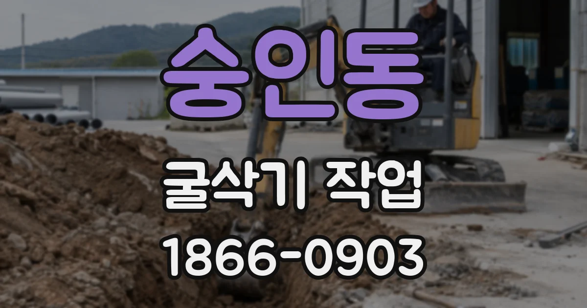 숭인동 굴삭기 작업