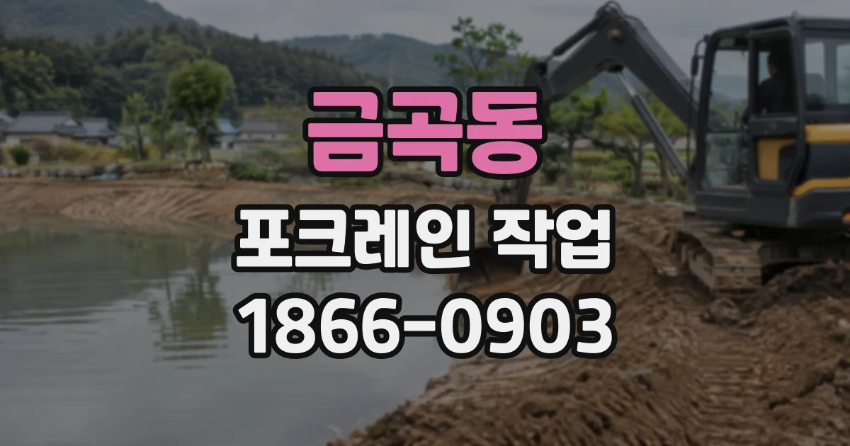 금곡동 포크레인작업