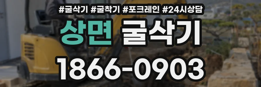 상면 굴삭기