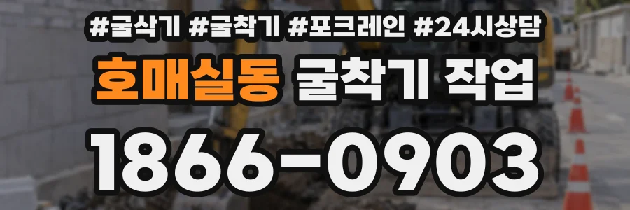 호매실동 굴착기 작업