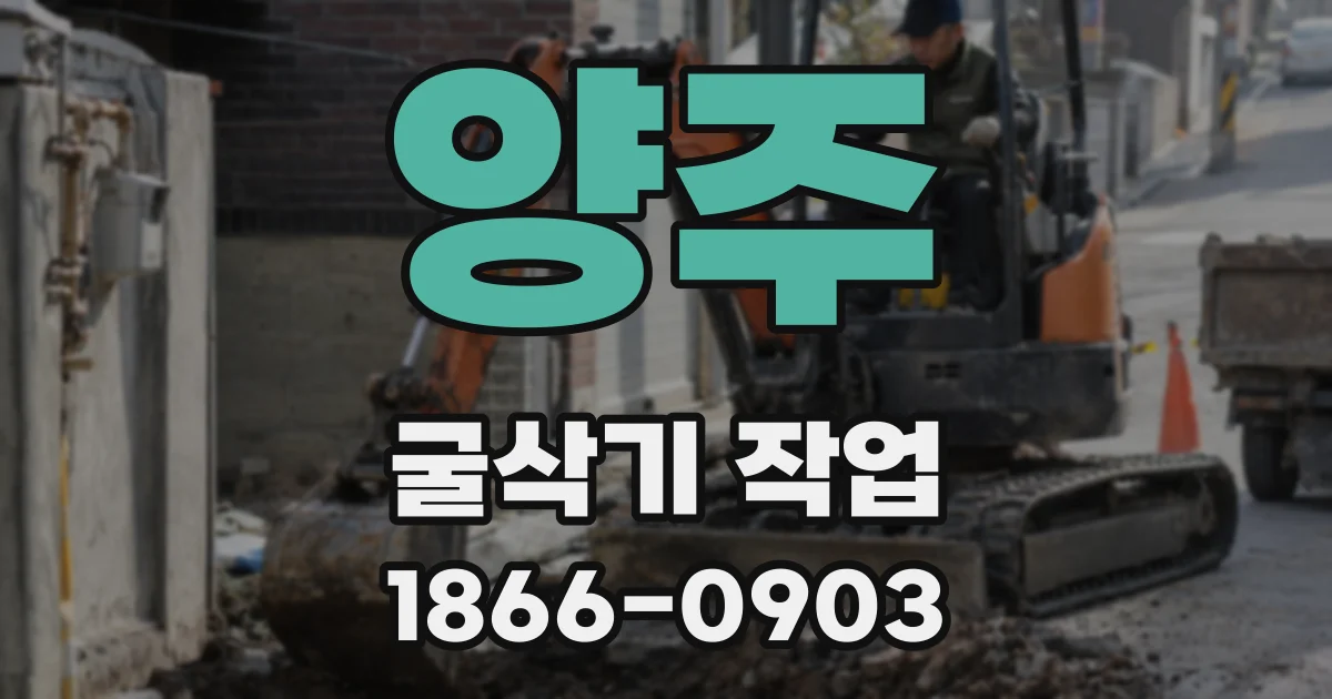 양주 굴삭기 작업