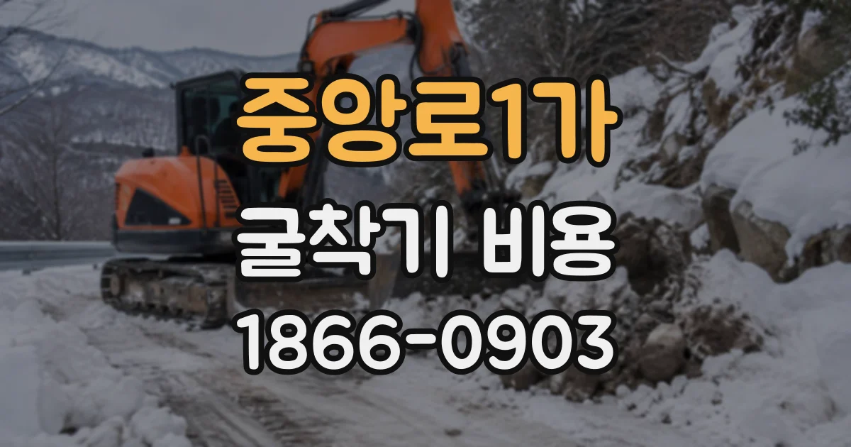 중앙로1가 굴착기비용