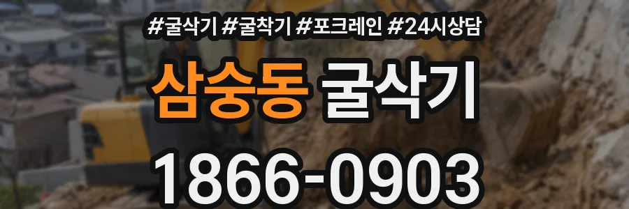 삼숭동 굴삭기