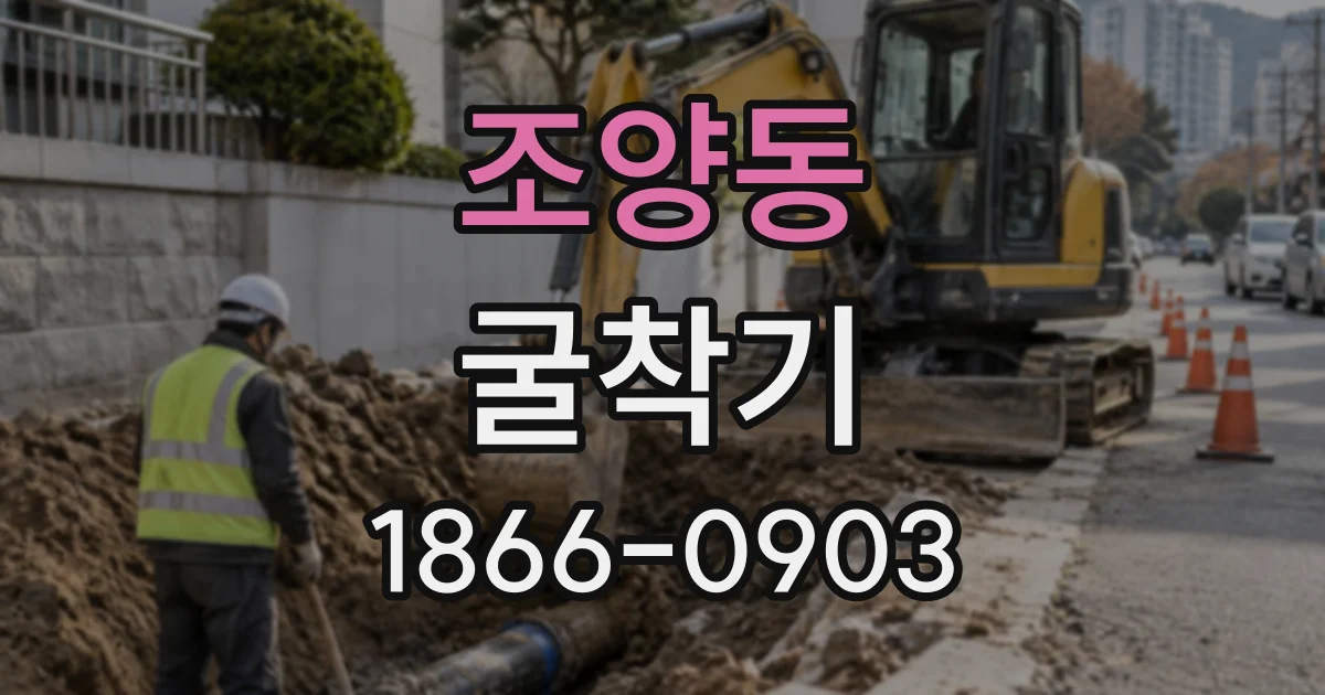 조양동 굴착기