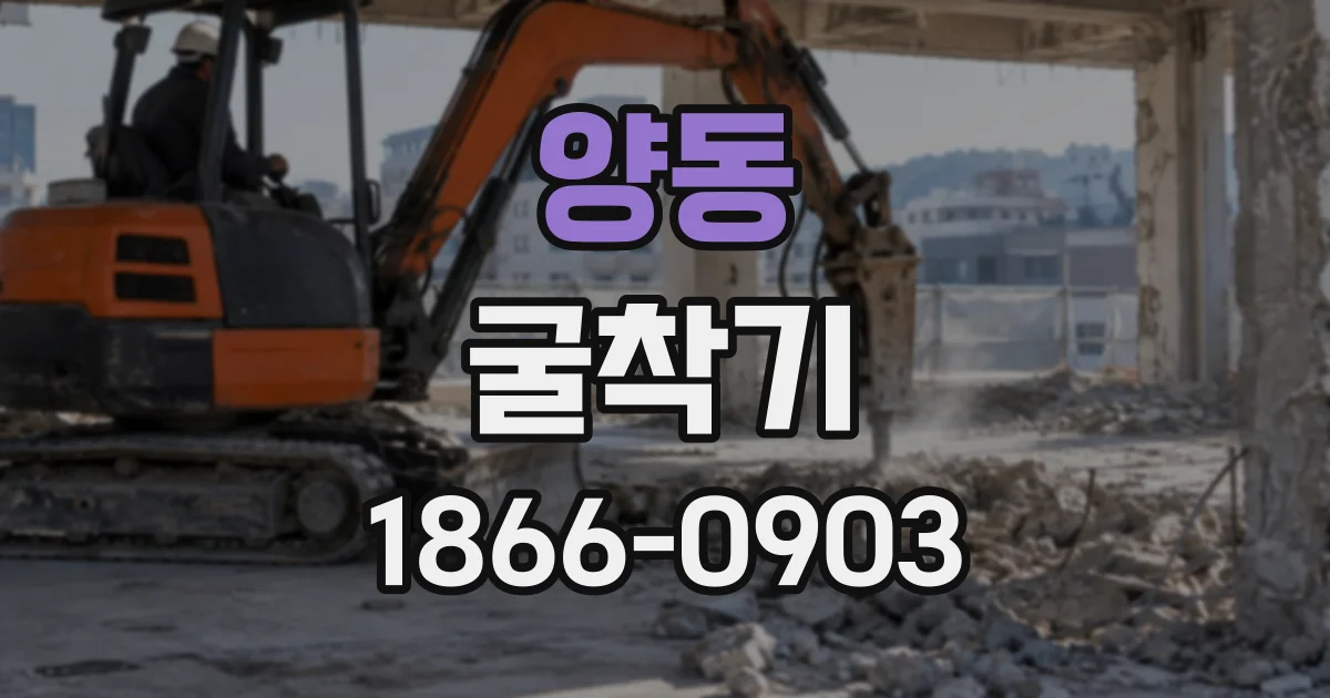 양동 굴착기