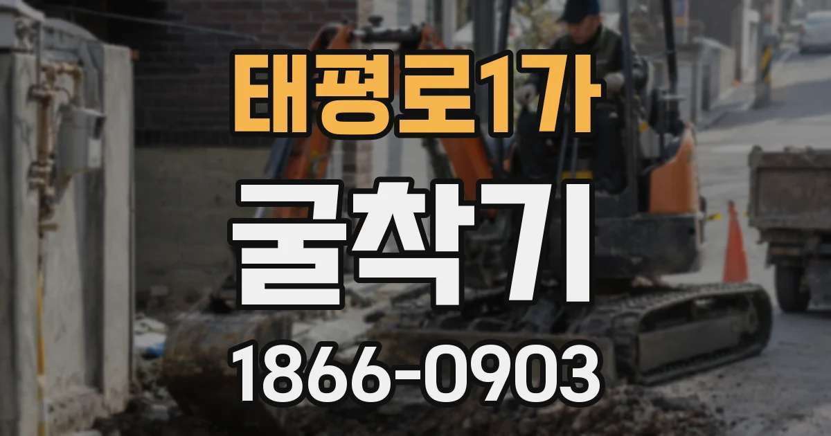 태평로1가 굴착기