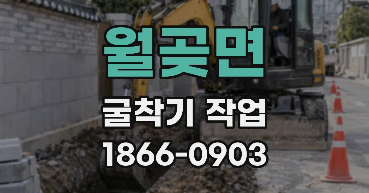 월곶면 굴착기 작업