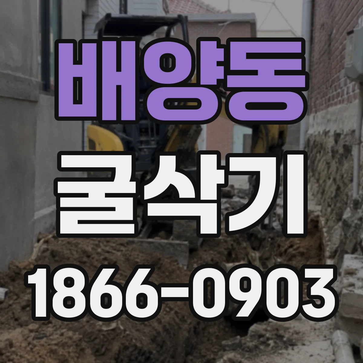 배양동 굴삭기