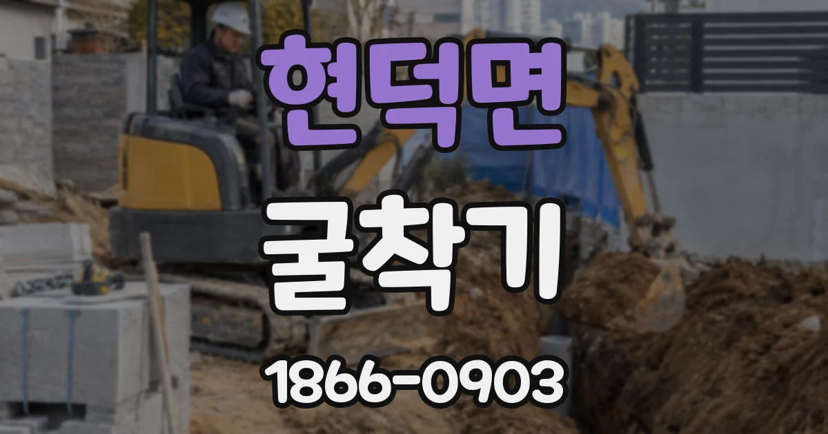 현덕면 굴착기