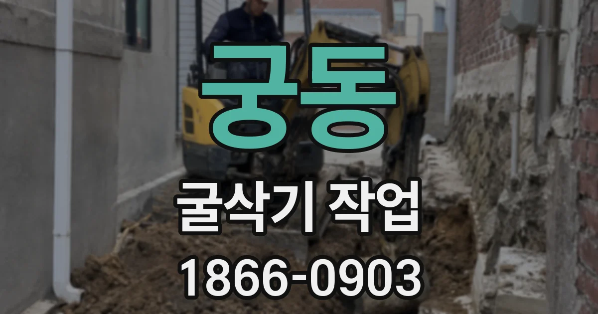 궁동 굴삭기 작업