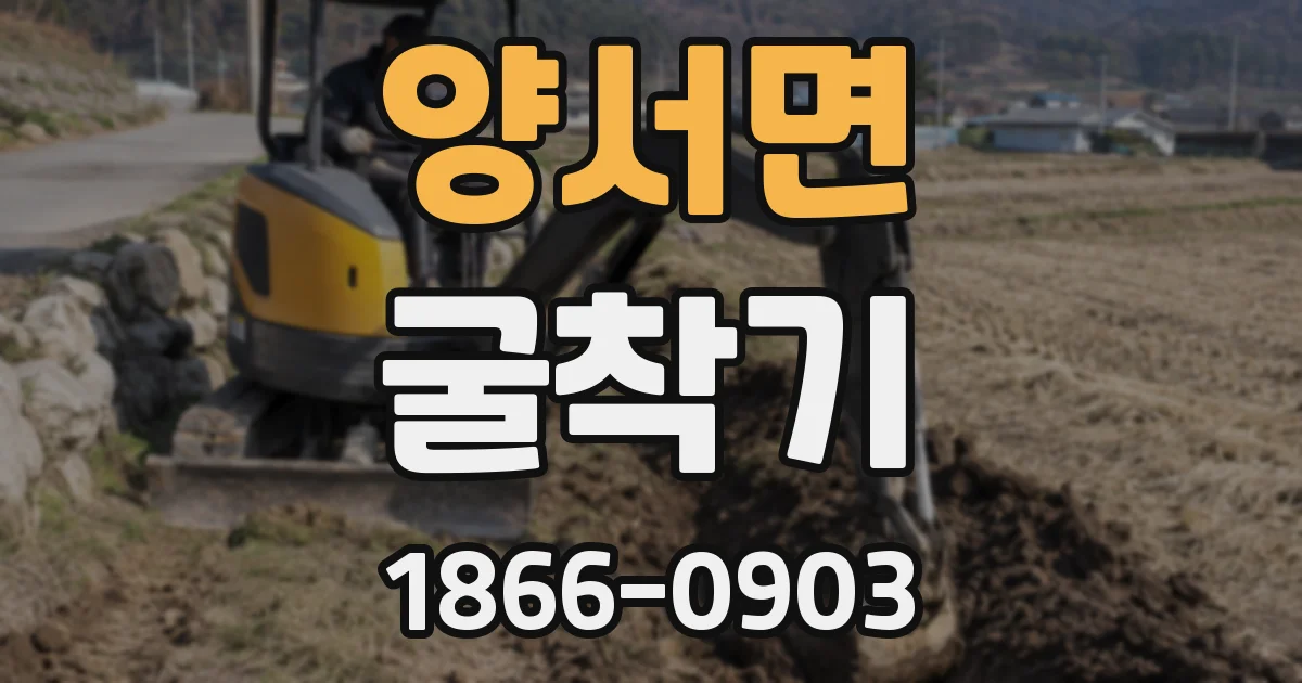 양서면 굴착기
