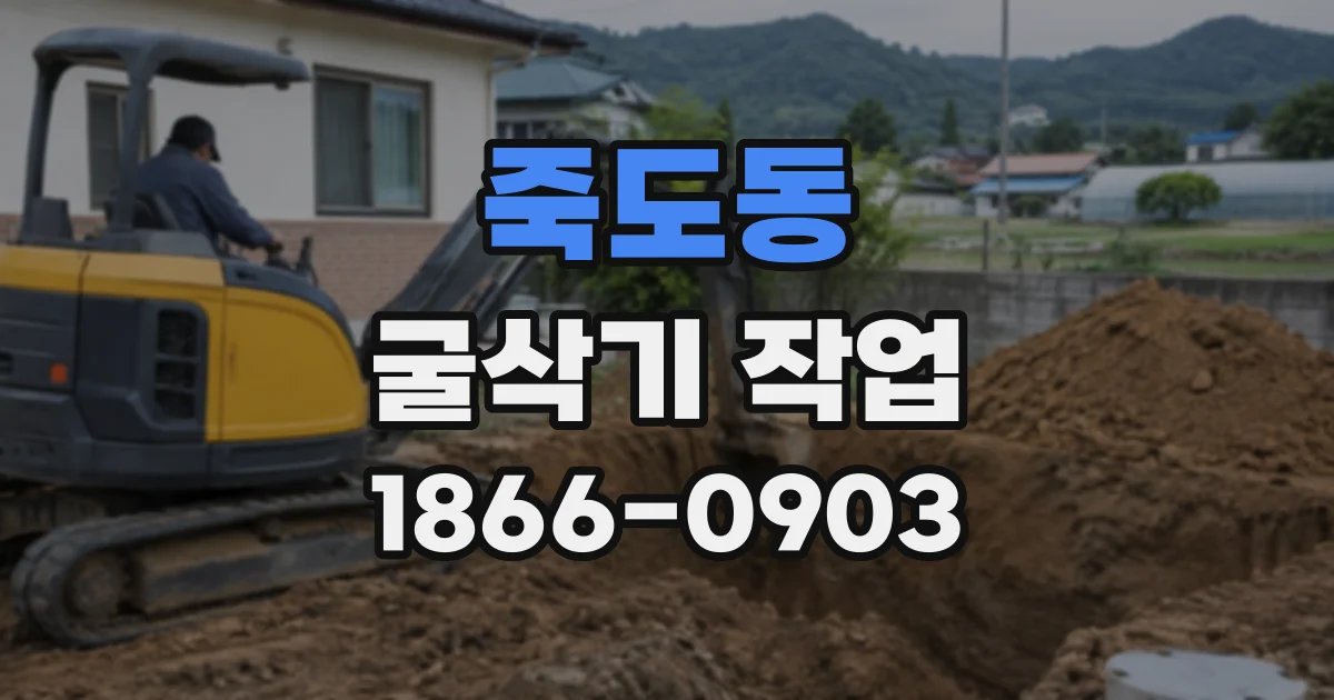 죽도동 굴삭기작업