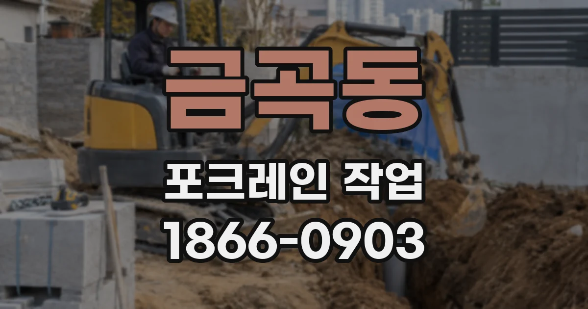 금곡동 포크레인 작업
