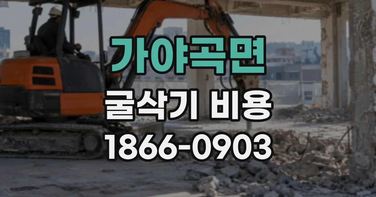 가야곡면 굴삭기비용