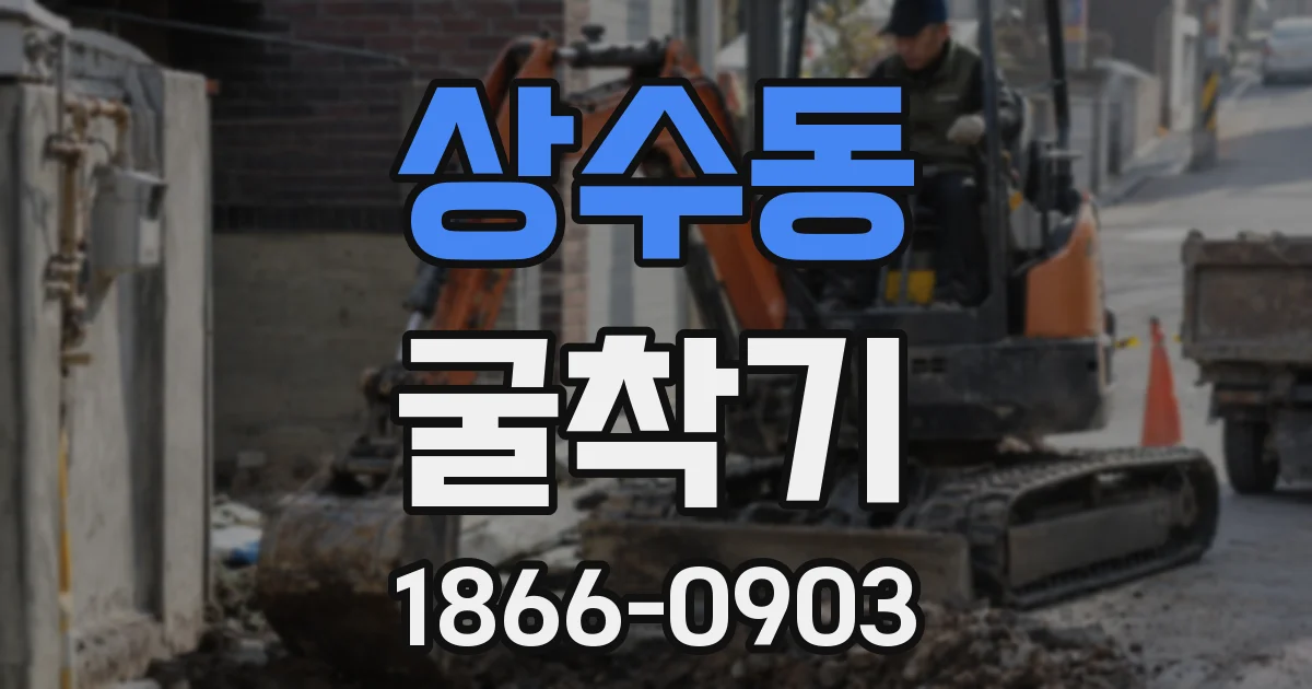 상수동 굴착기