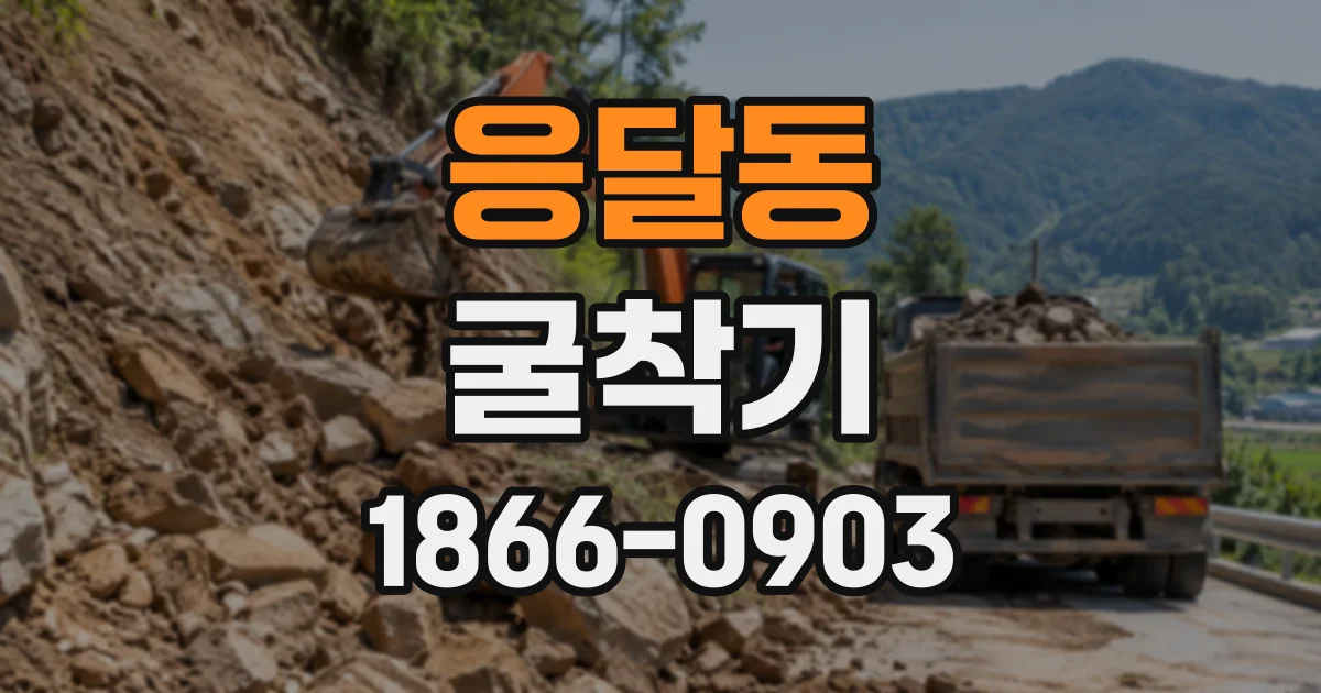 응달동 굴착기