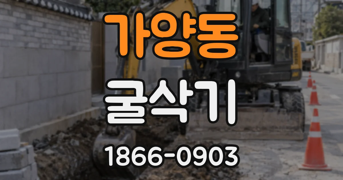 가양동 굴삭기