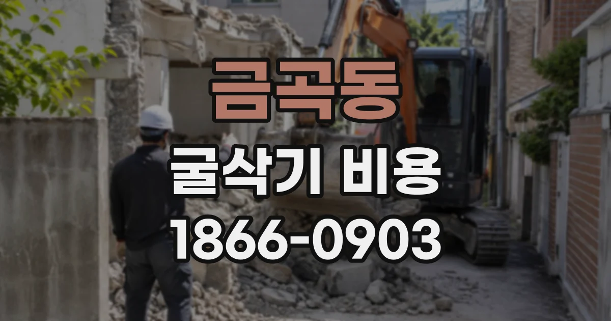 금곡동 굴삭기비용