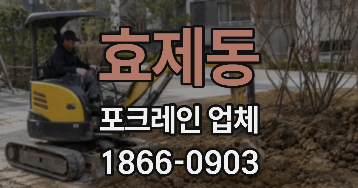 효제동 포크레인 업체