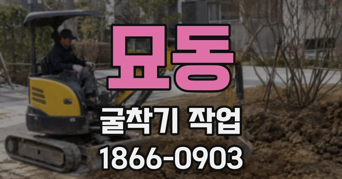 묘동 굴착기 작업