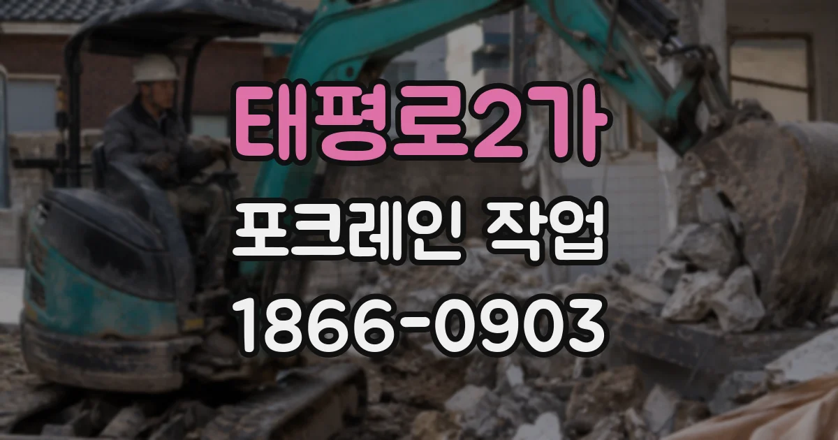 태평로2가 포크레인 작업