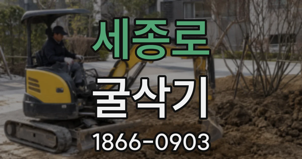 세종로 굴삭기