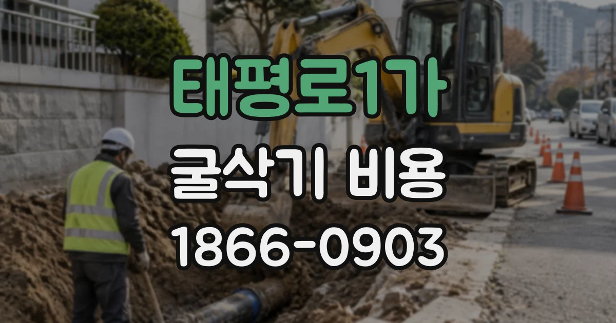 태평로1가 굴삭기비용