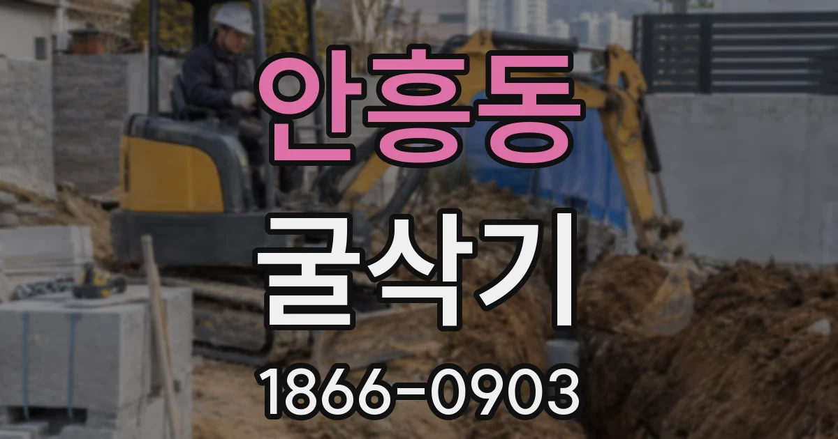 안흥동 굴삭기