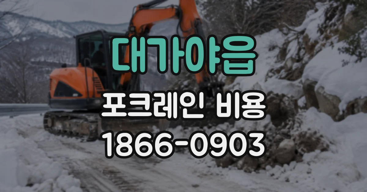 대가야읍 포크레인비용