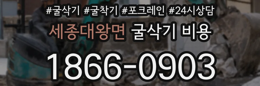 세종대왕면 굴삭기 비용