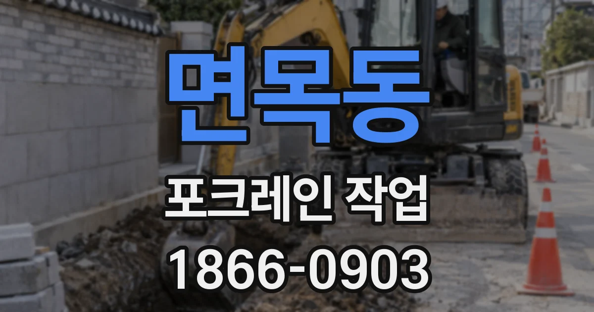 면목동 포크레인 작업