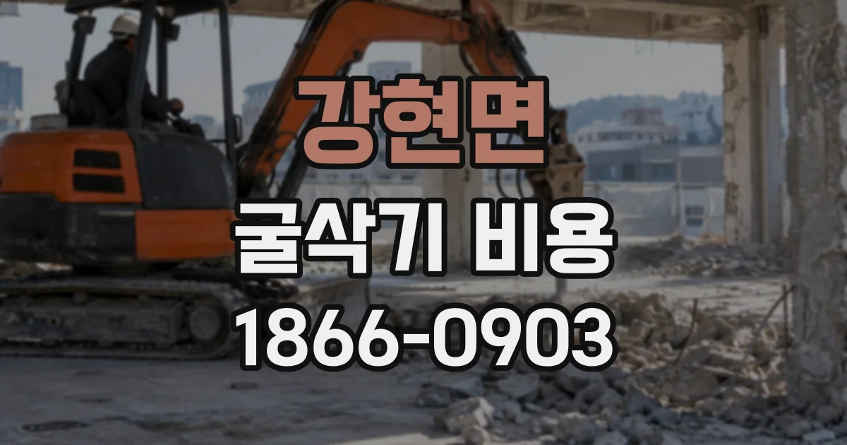 강현면 굴삭기비용
