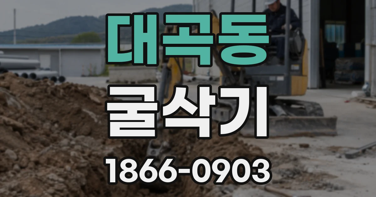대곡동 굴삭기