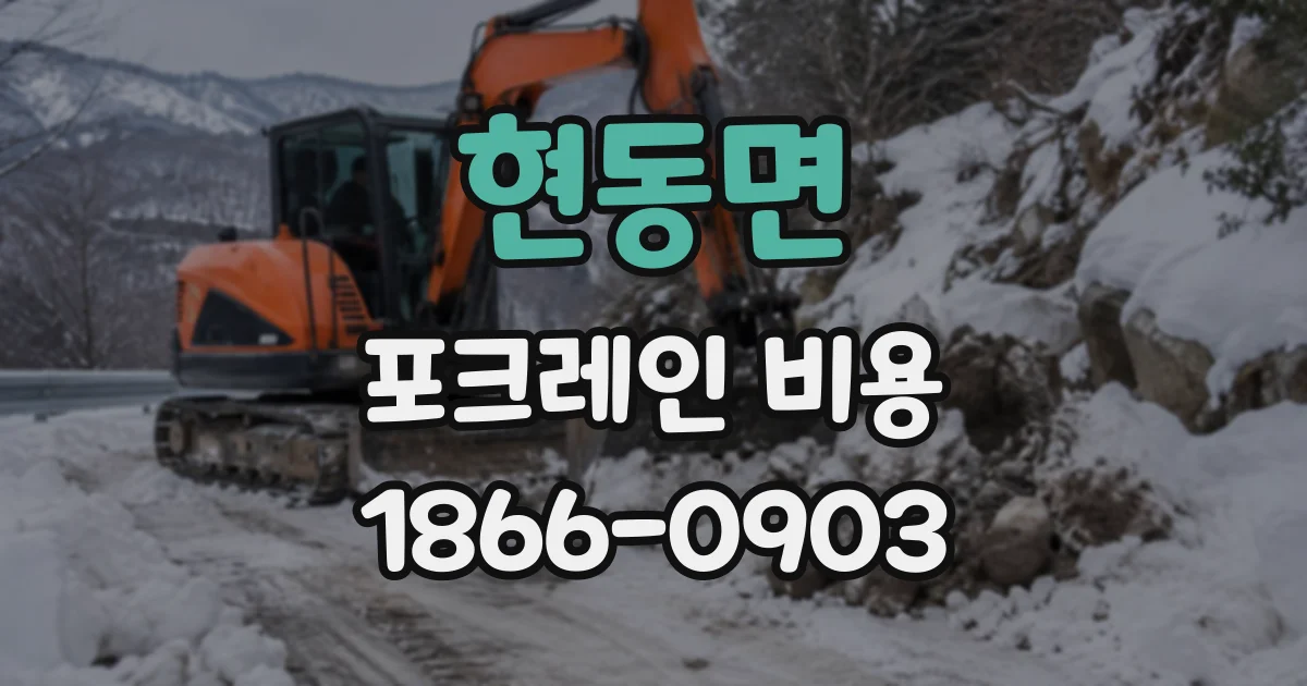 현동면 포크레인비용