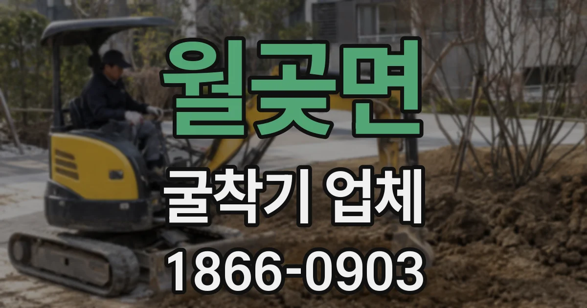 월곶면 굴착기 업체