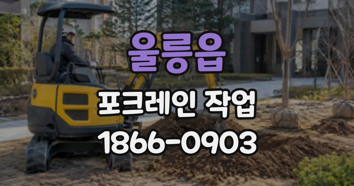 울릉읍 포크레인작업
