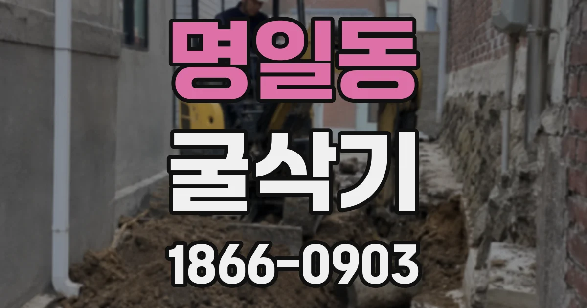 명일동 굴삭기