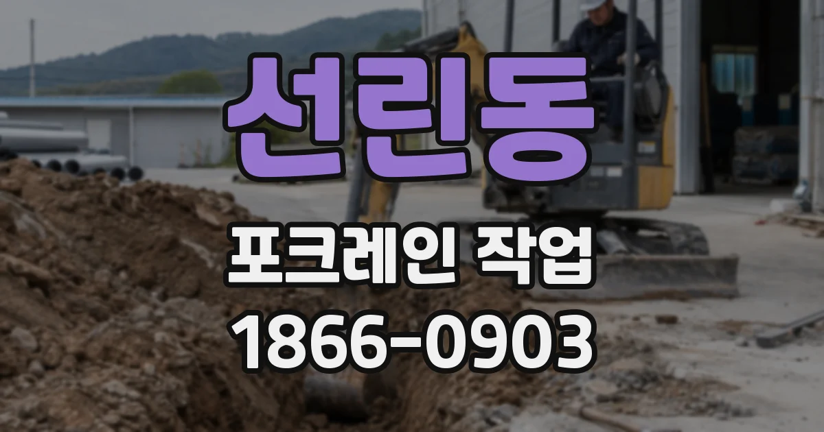 선린동 포크레인 작업
